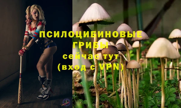 мет Абинск