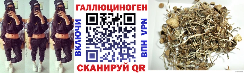Галлюциногенные грибы GOLDEN TEACHER  omg ТОР  Магнитогорск 